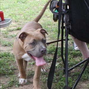 Meet your Posher, Kevin